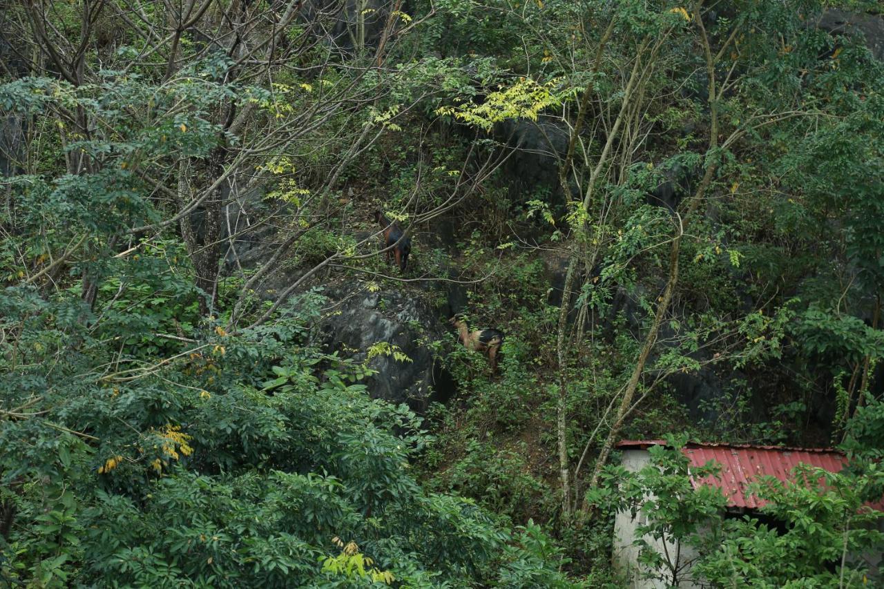 Gold Plus Hotel Phong Nha Exteriér fotografie