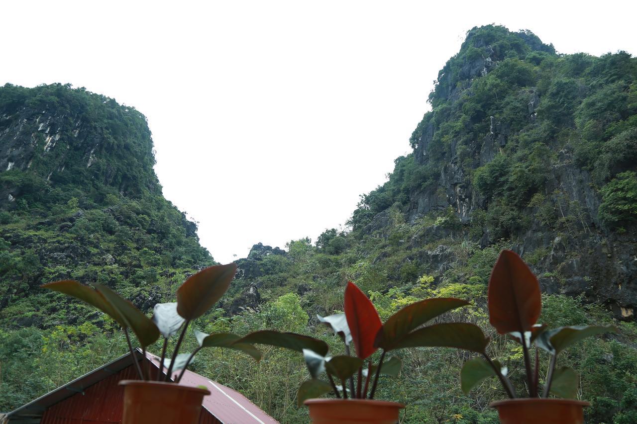 Gold Plus Hotel Phong Nha Exteriér fotografie